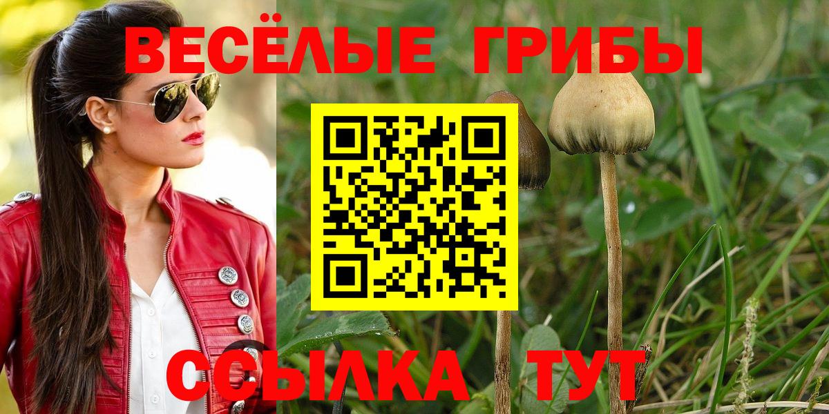 как найти наркотики  Псилоцибиновые грибы GOLDEN TEACHER  Вход с VPN  Рузаевка 